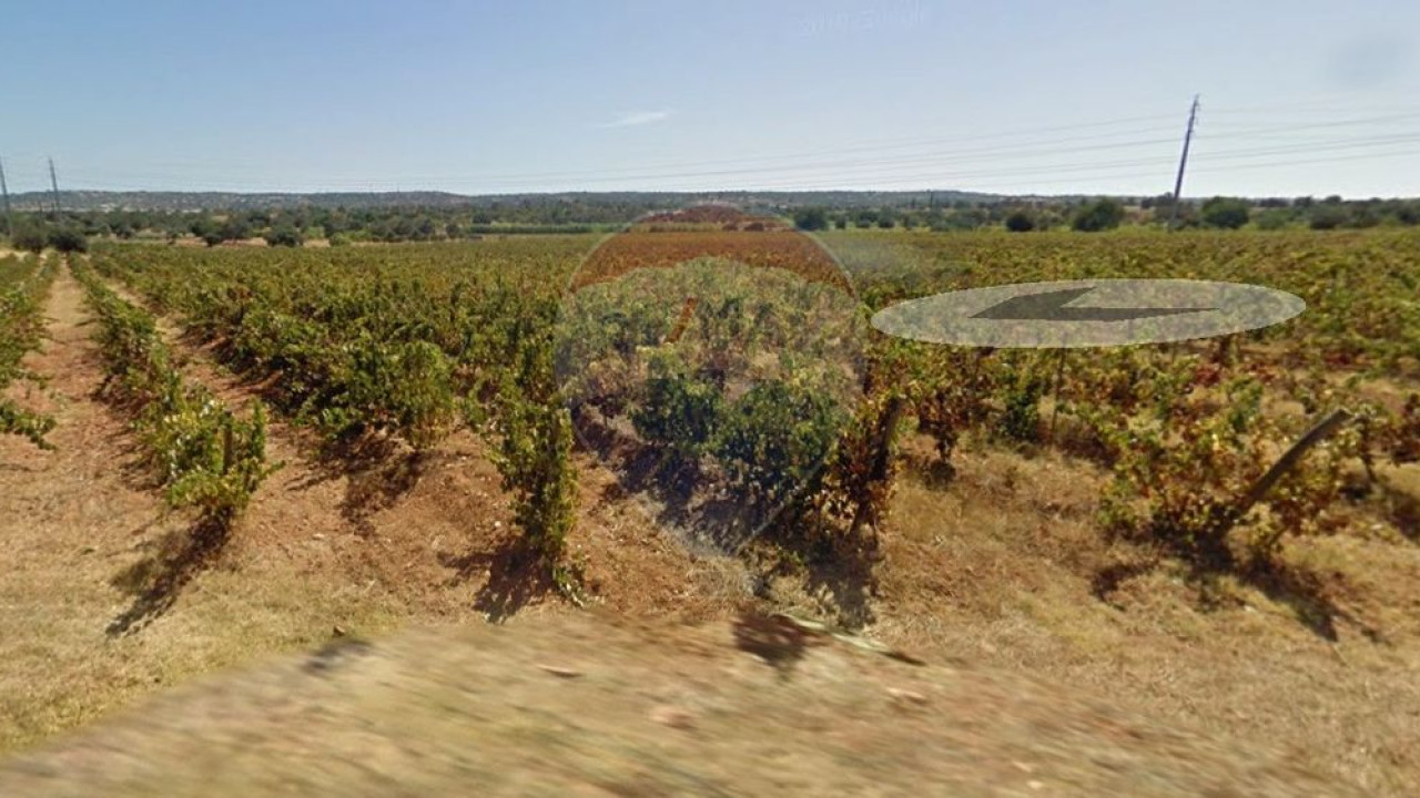 Terreno P/ Prédio para Venda em Algoz e Tunes Foto 7