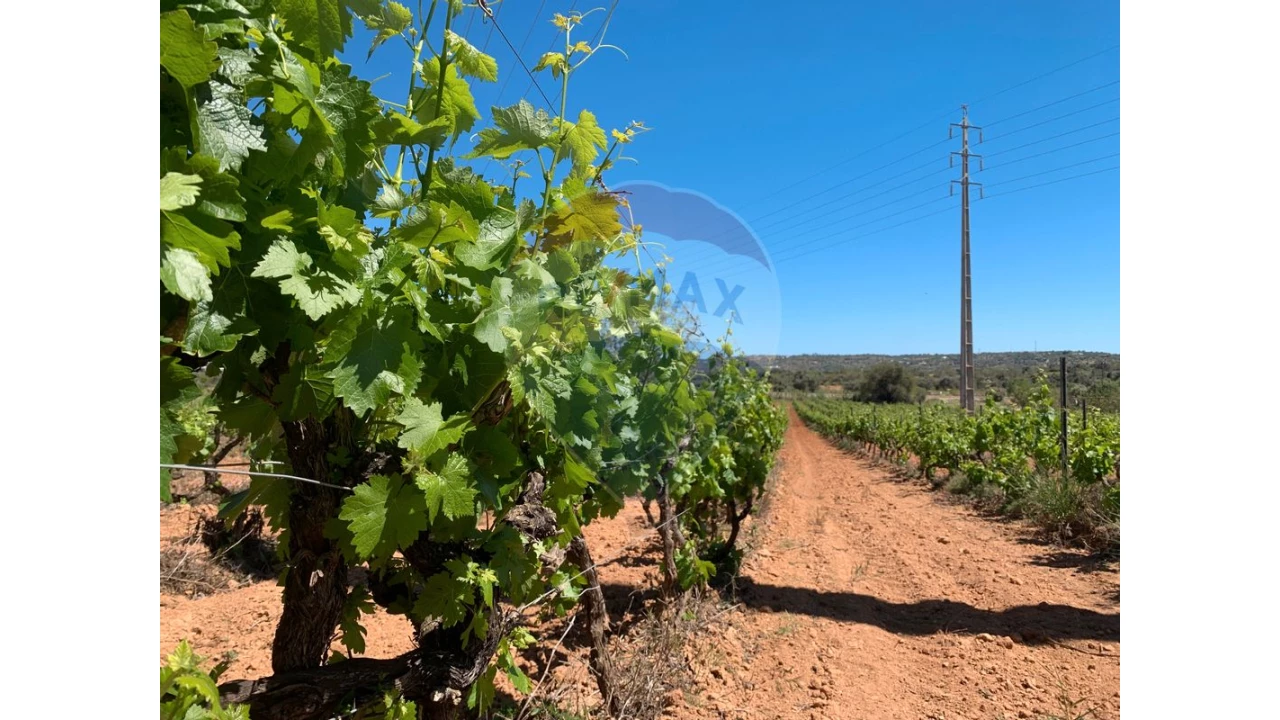 Terreno P/ Prédio para Venda em Algoz e Tunes Foto 9
