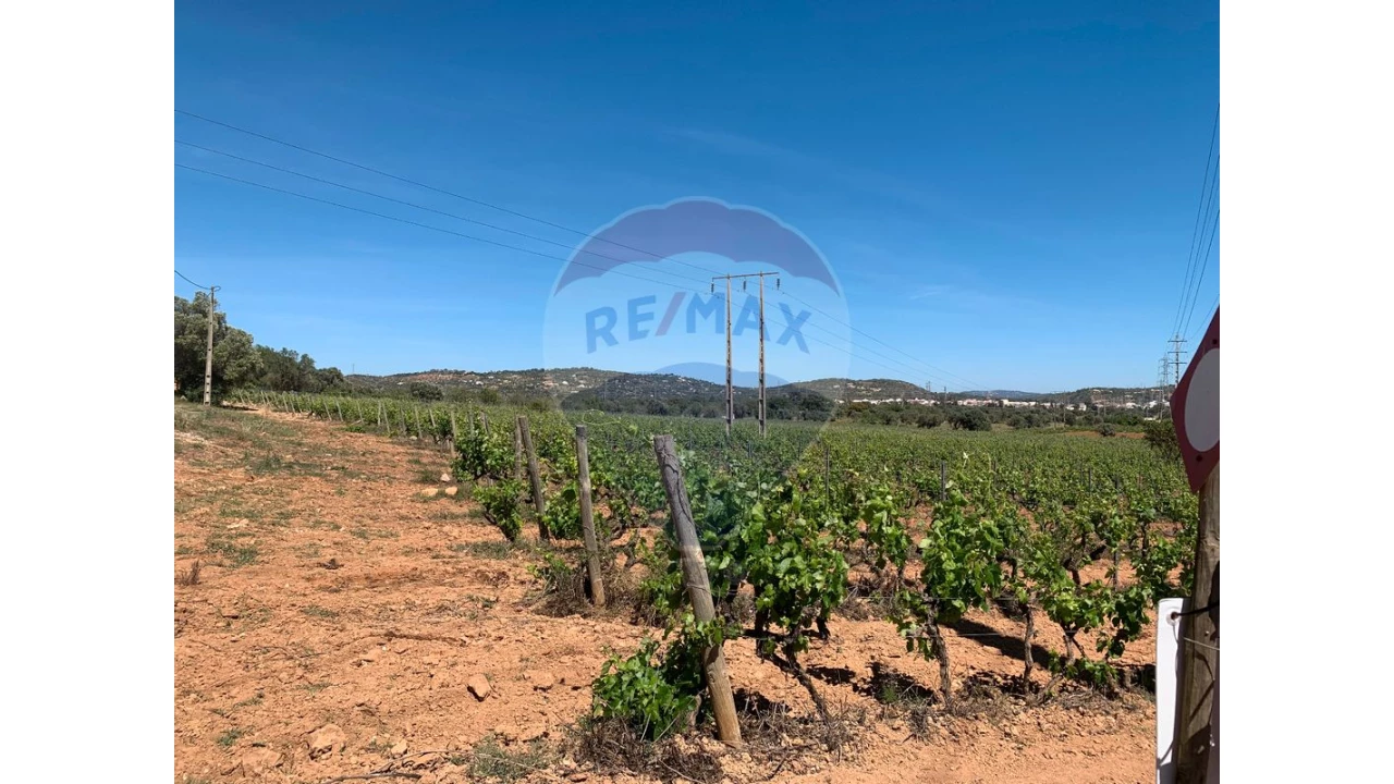 Terreno P/ Prédio para Venda em Algoz e Tunes Foto 11