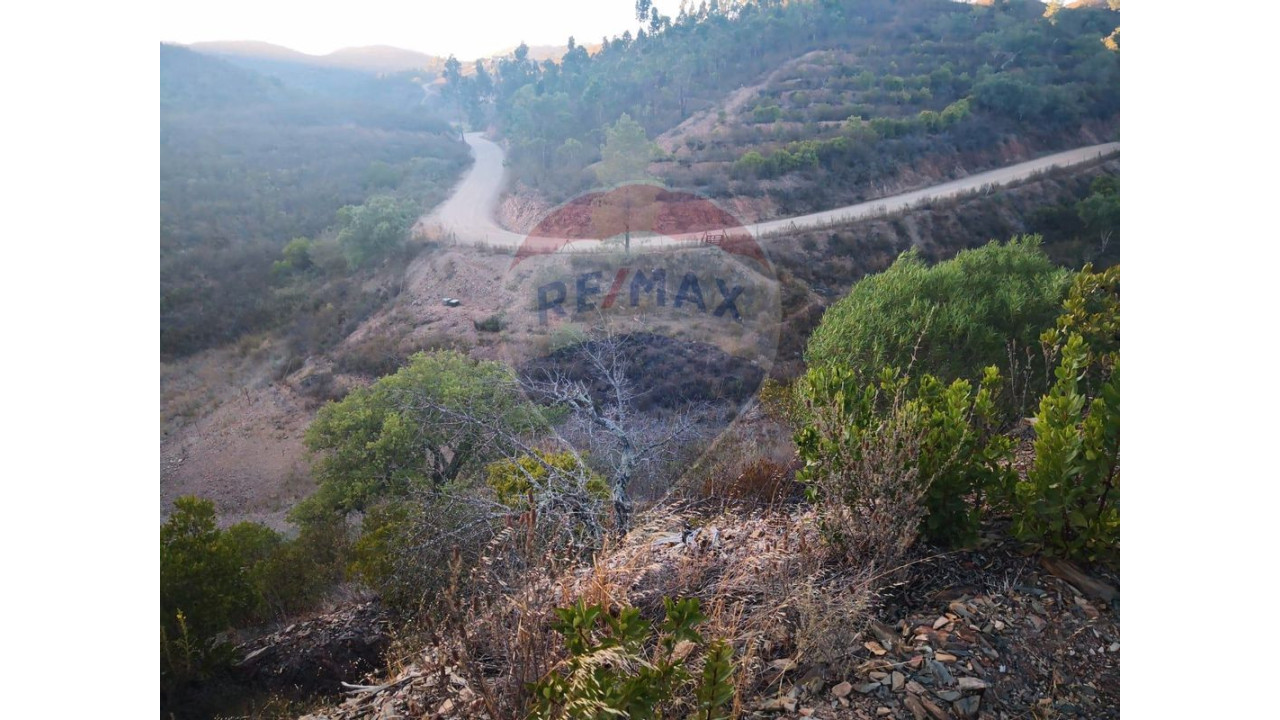 Terreno P/ Prédio para Venda em São Bartolomeu de Messines Foto 3