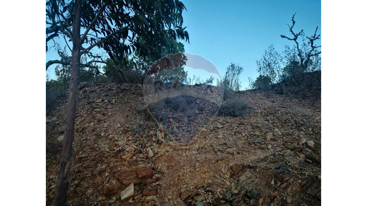Terreno P/ Prédio para Venda em São Bartolomeu de Messines Foto 6
