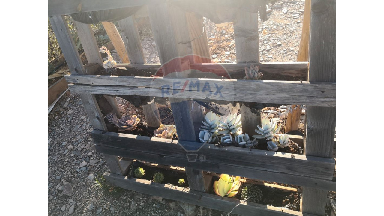 Terreno P/ Prédio para Venda em São Bartolomeu de Messines Foto 15