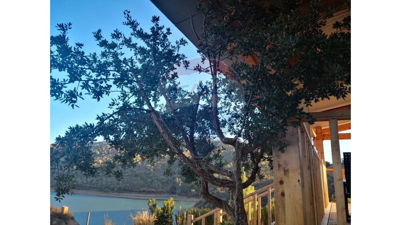 Terreno P/ Prédio para Venda em São Bartolomeu de Messines Foto 14