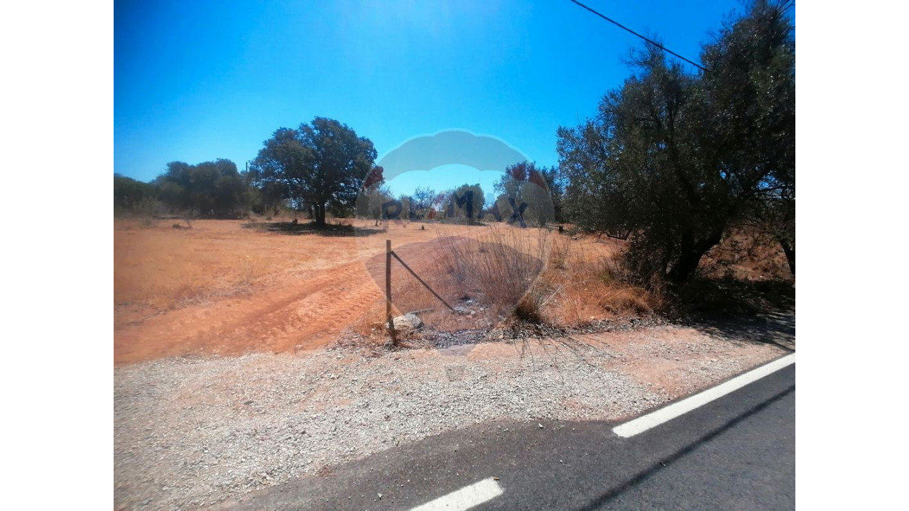 Terreno P/ Prédio para Venda em Boliqueime Foto 3