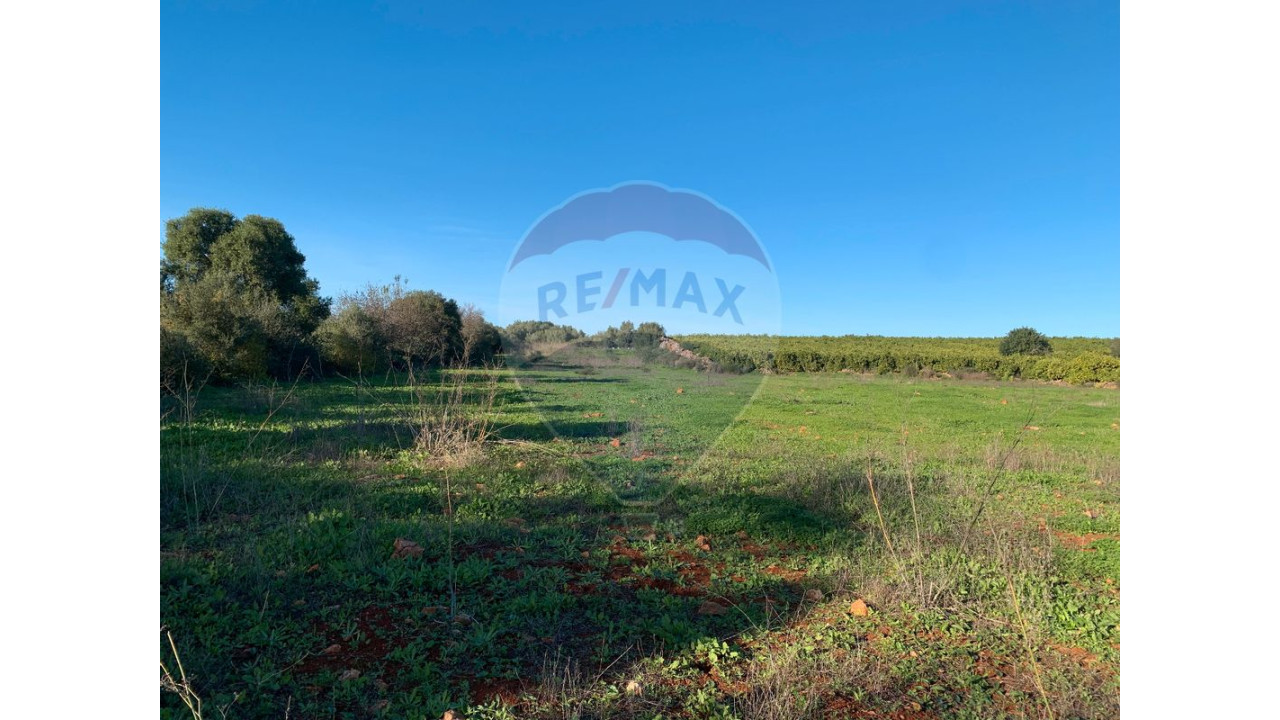 Moradia T2 para Venda em Algoz e Tunes Foto 18