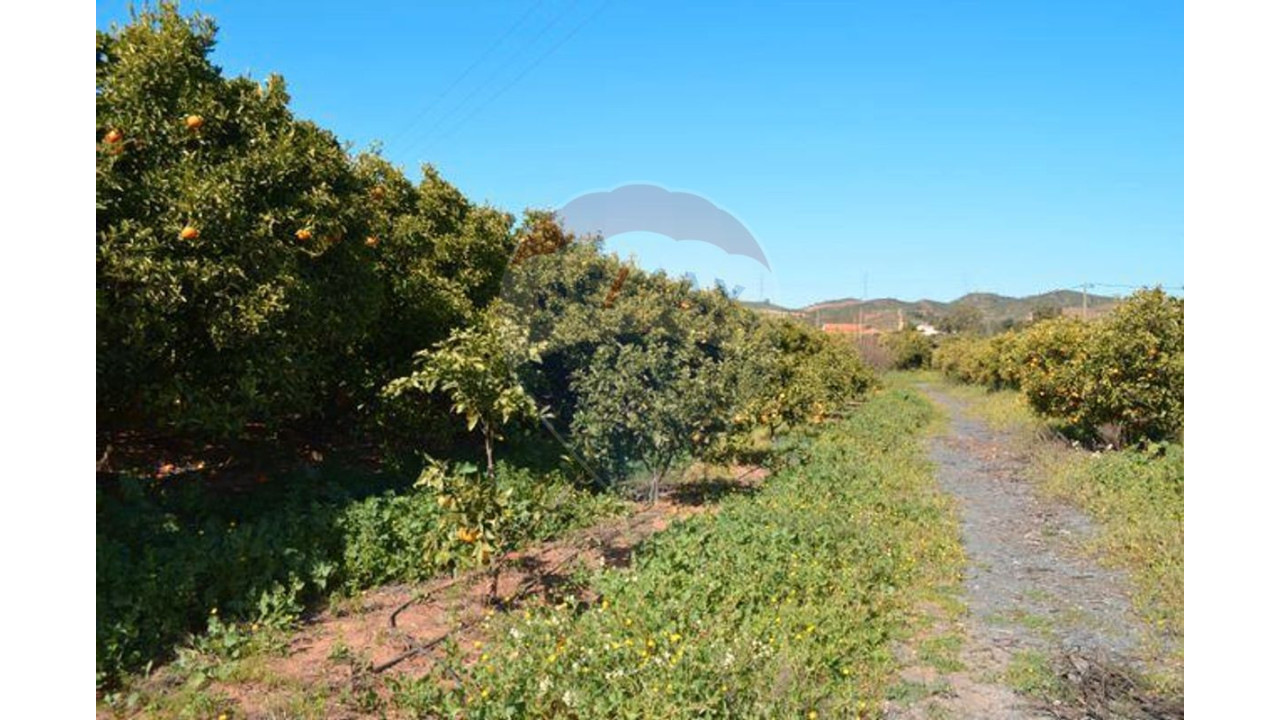 Quinta para Venda em Silves Foto 13