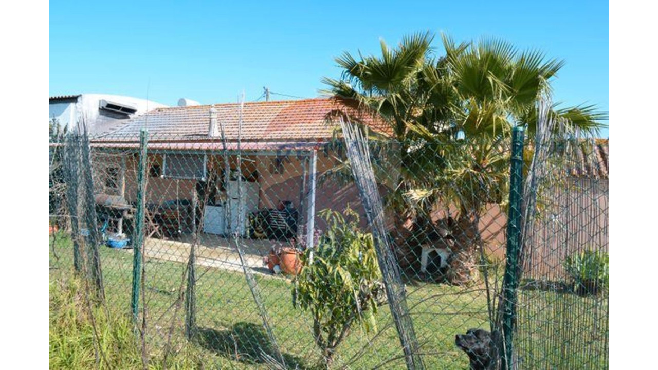 Quinta para Venda em Silves Foto 2