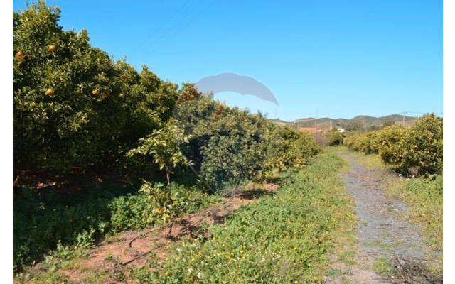 Quinta para Venda em Silves