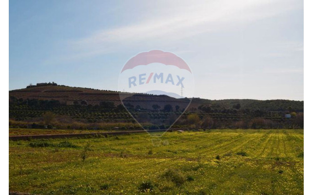 Quinta para Venda em Silves