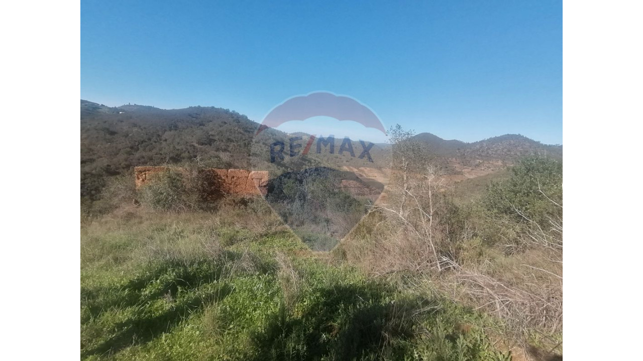 Terreno P/ Prédio para Venda em Santana da Serra Foto 7