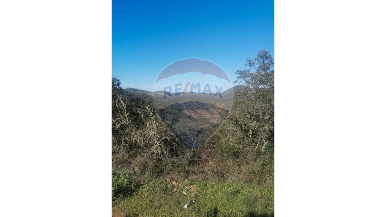 Terreno P/ Prédio para Venda em Santana da Serra Foto 8