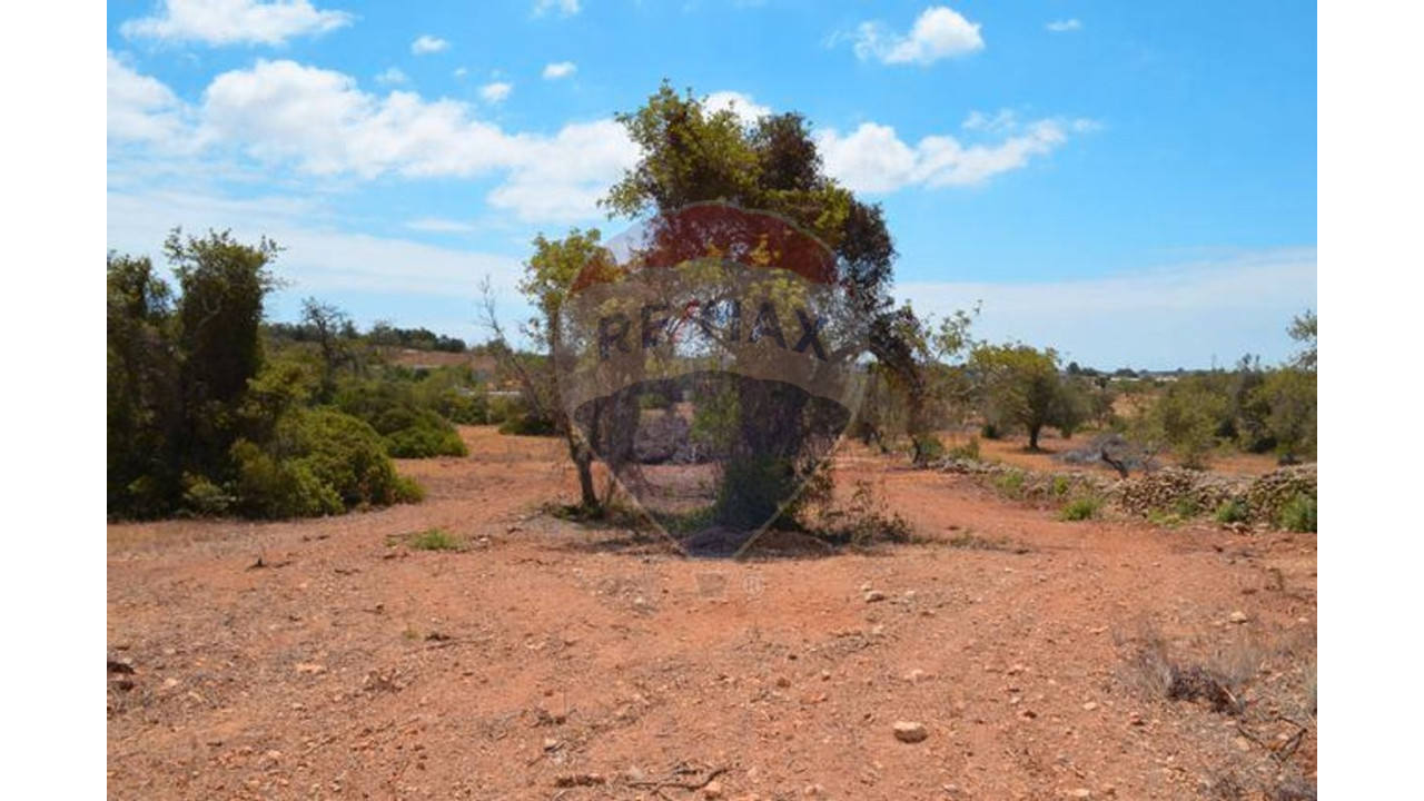 Terreno P/ Prédio para Venda em Ferreiras Foto 7
