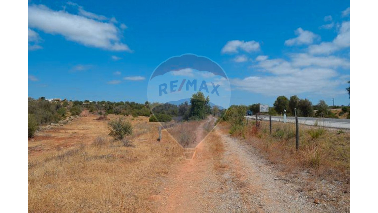 Terreno P/ Prédio para Venda em Ferreiras Foto 8