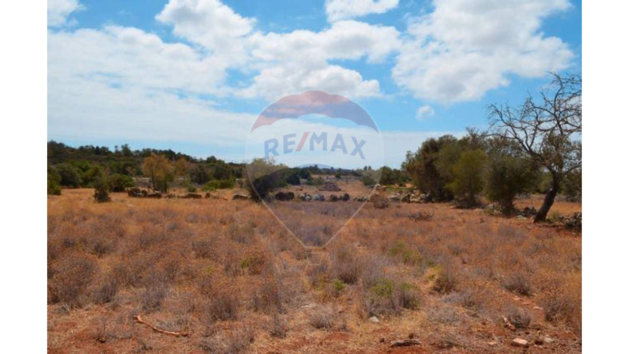 Terreno P/ Prédio para Venda em Ferreiras Foto 6