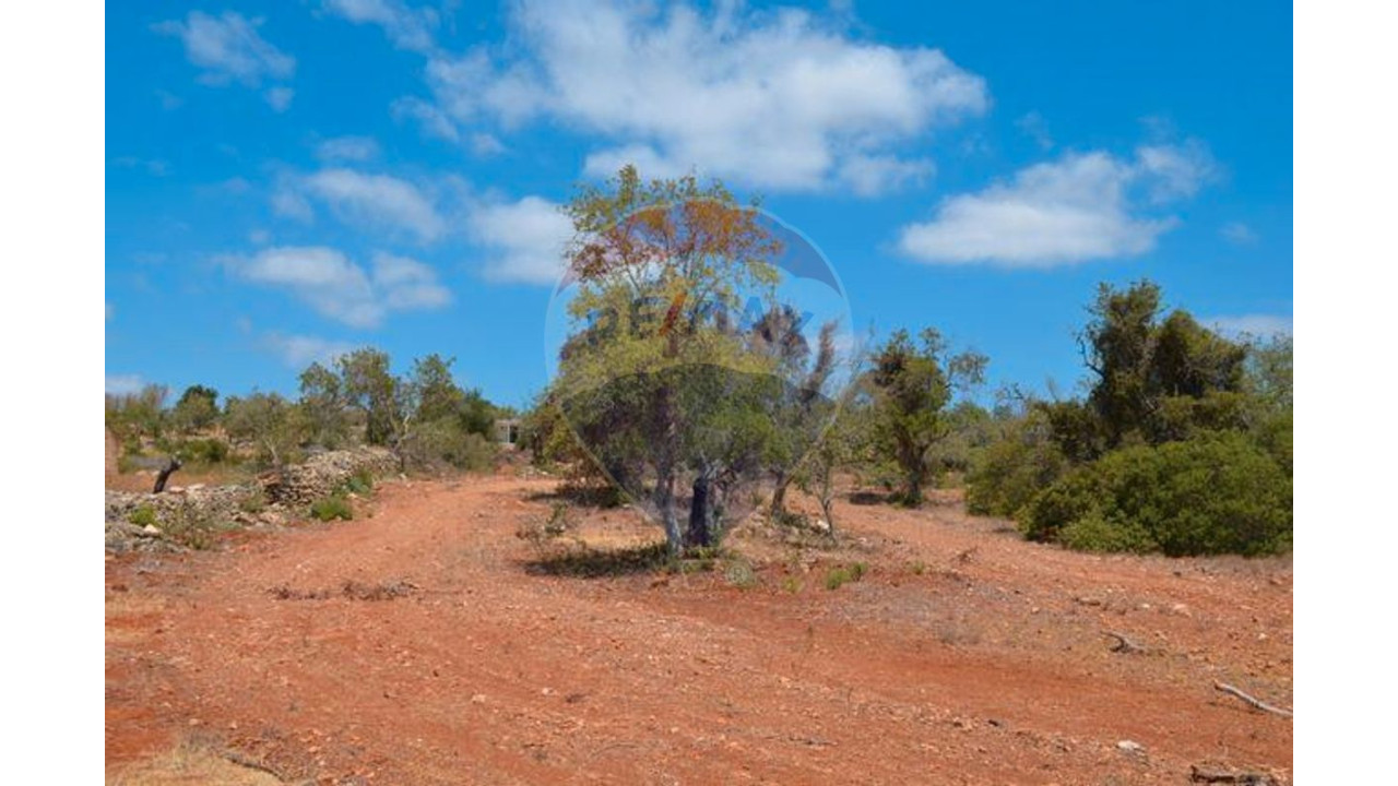 Terreno P/ Prédio para Venda em Ferreiras Foto 2