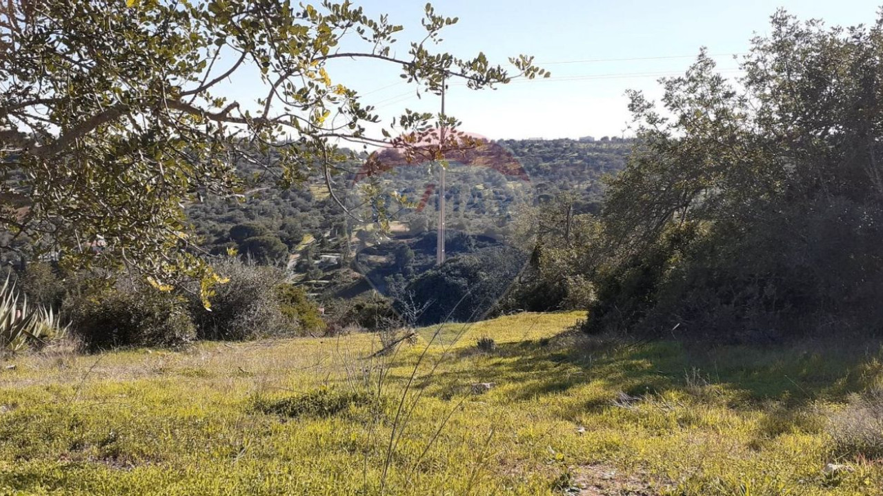 Terreno P/ Prédio para Venda em Paderne