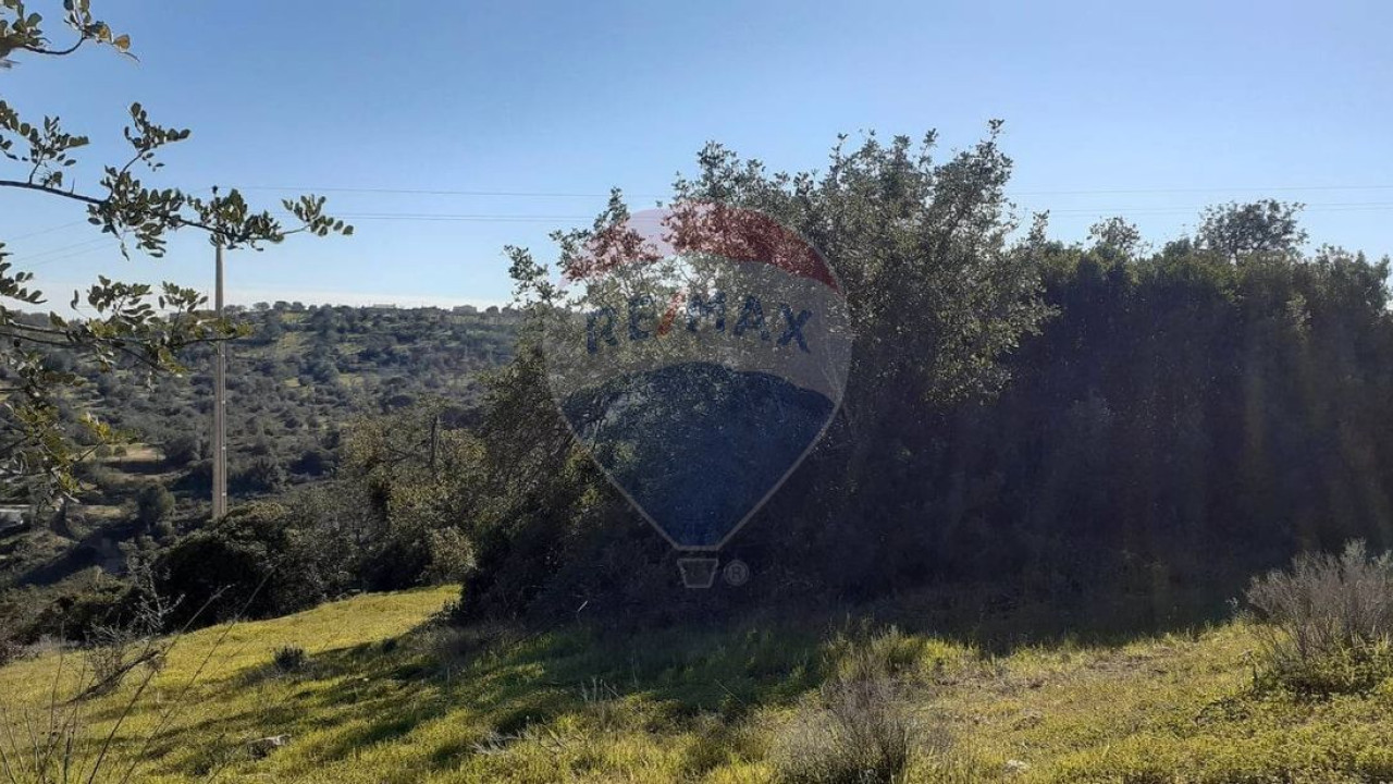 Terreno P/ Prédio para Venda em Paderne Foto 2