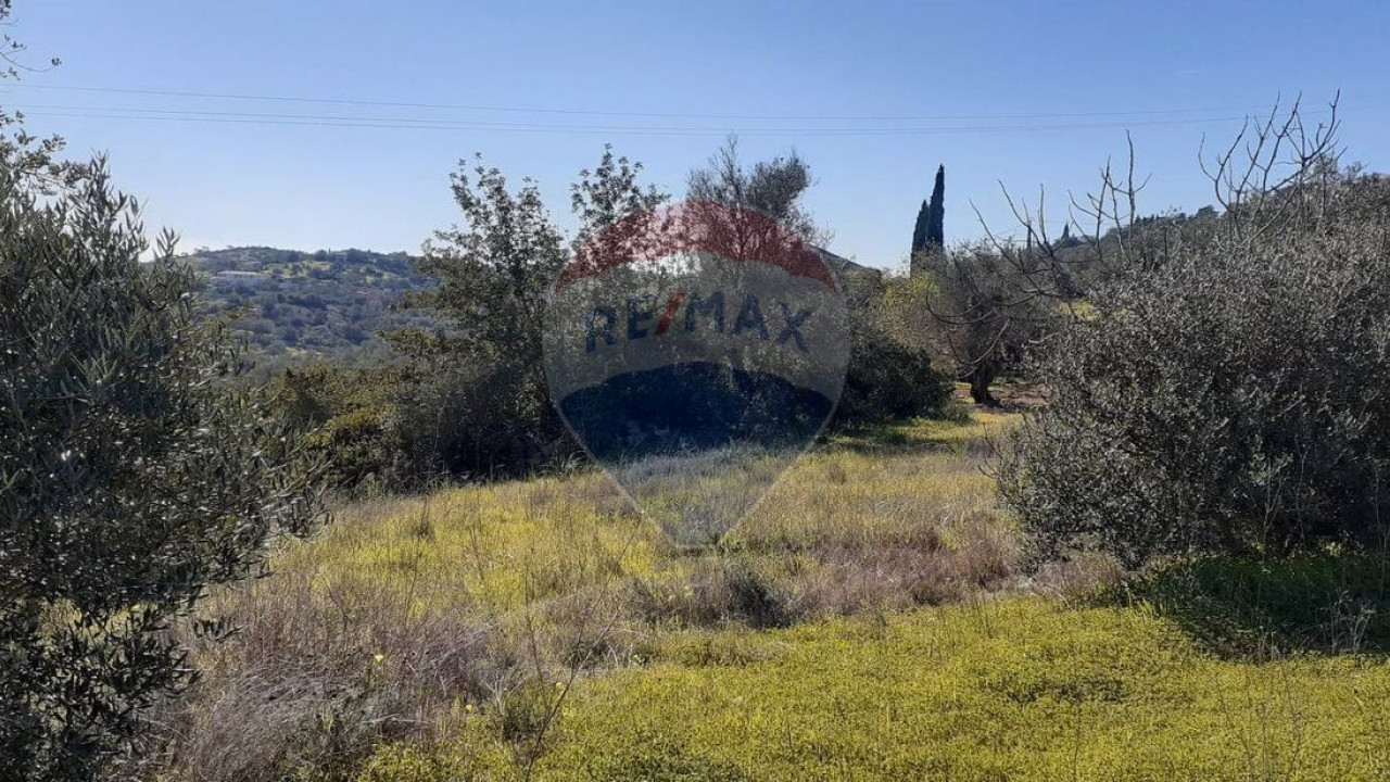 Terreno P/ Prédio para Venda em Paderne Foto 4