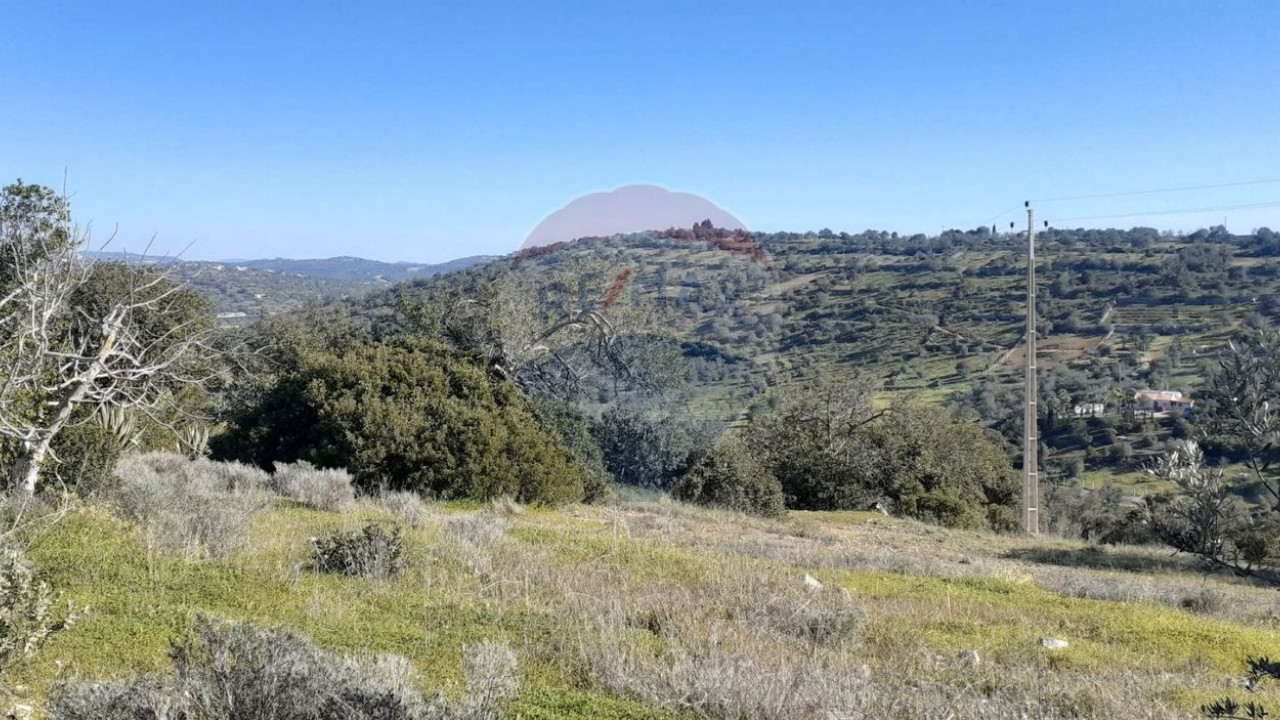 Terreno P/ Prédio para Venda em Paderne Foto 5
