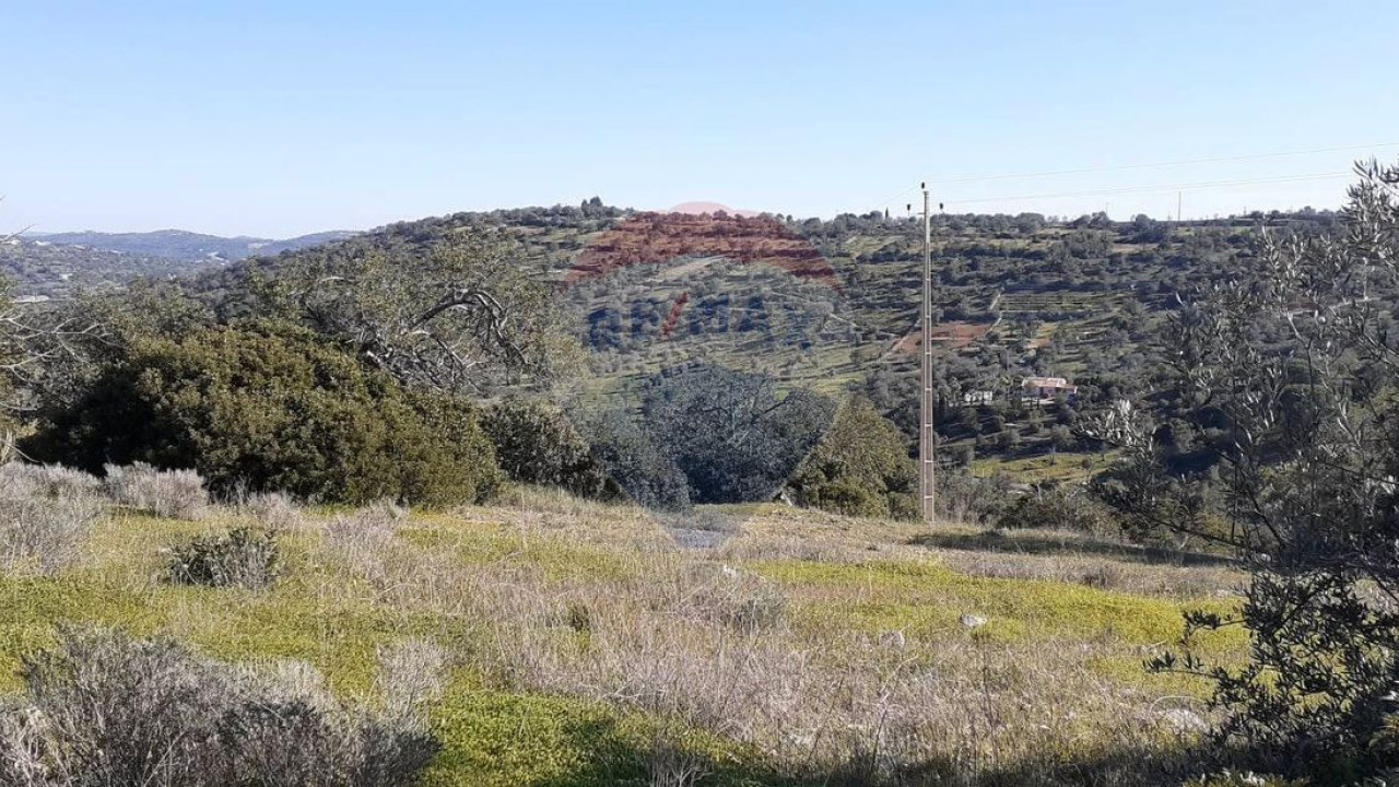 Terreno P/ Prédio para Venda em Paderne Foto 6