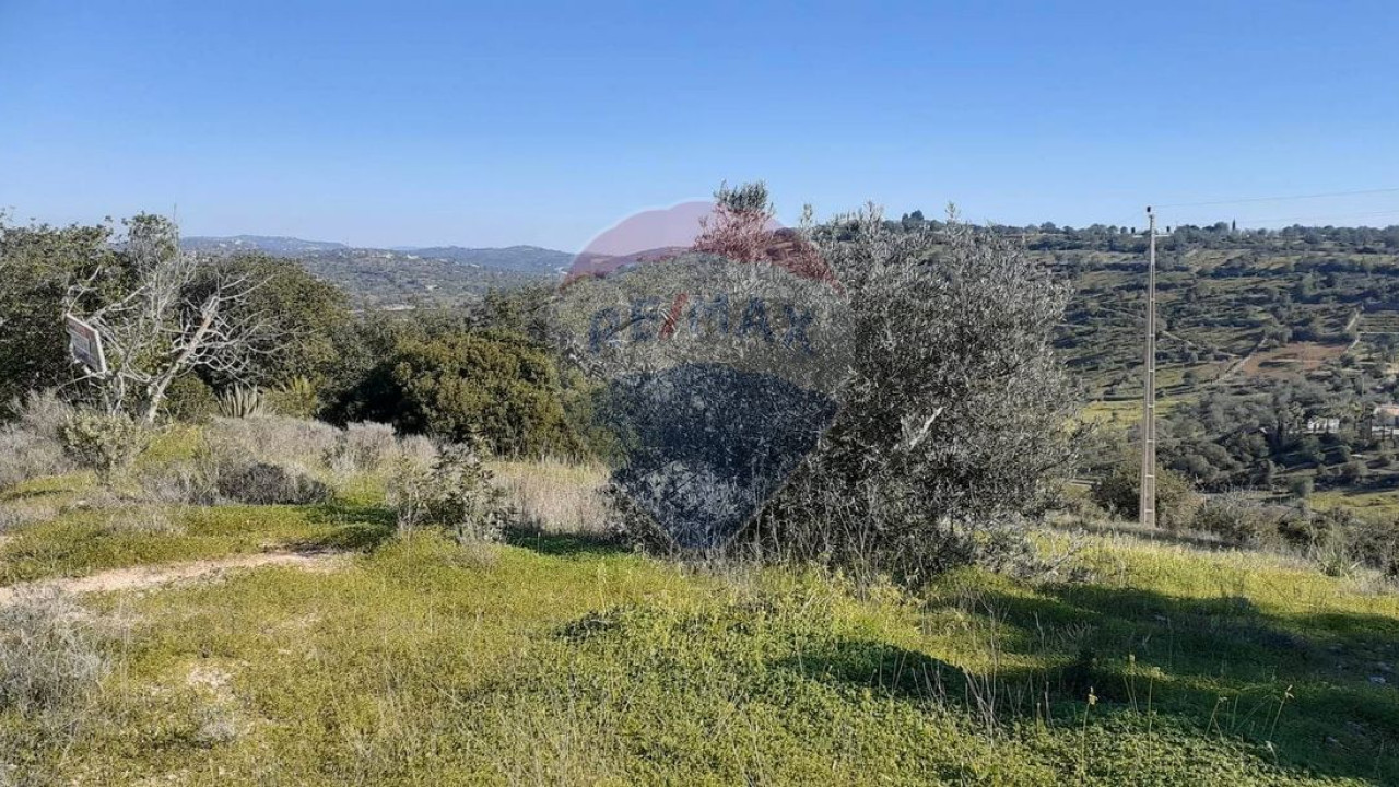 Terreno P/ Prédio para Venda em Paderne Foto 3