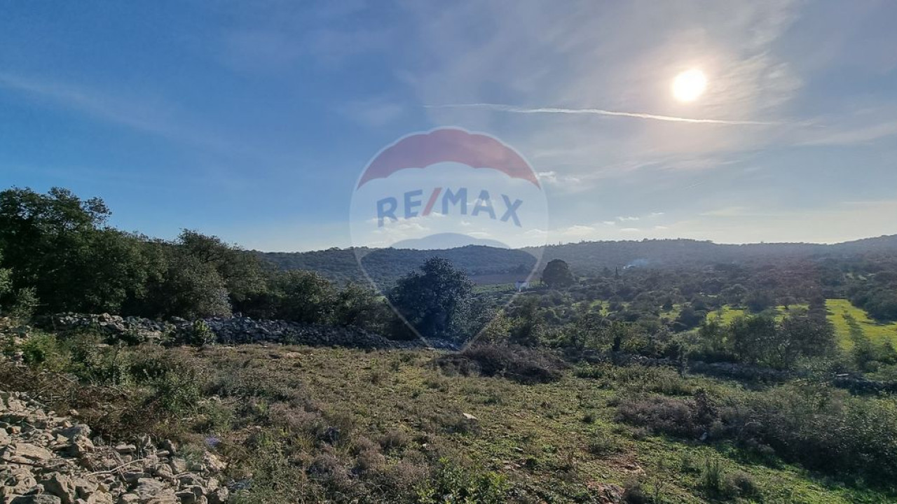 Terreno P/ Prédio para Venda em São Brás de Alportel Foto 12