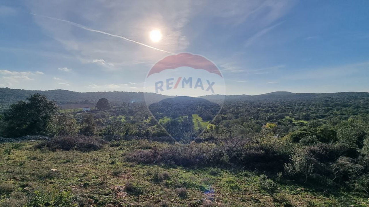 Terreno P/ Prédio para Venda em São Brás de Alportel Foto 10