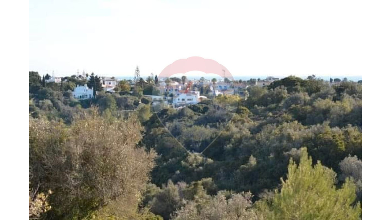 Terreno P/ Prédio para Venda em Lagoa e Carvoeiro Foto 6