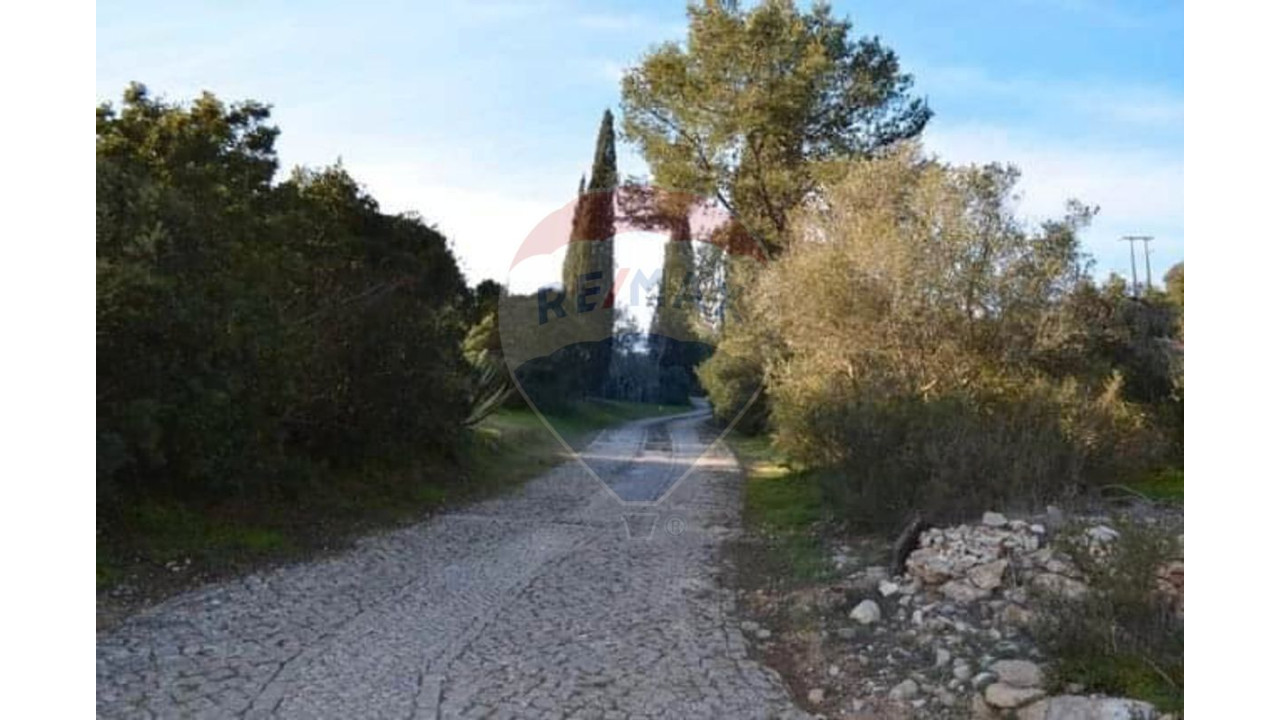 Terreno P/ Prédio para Venda em Lagoa e Carvoeiro Foto 3