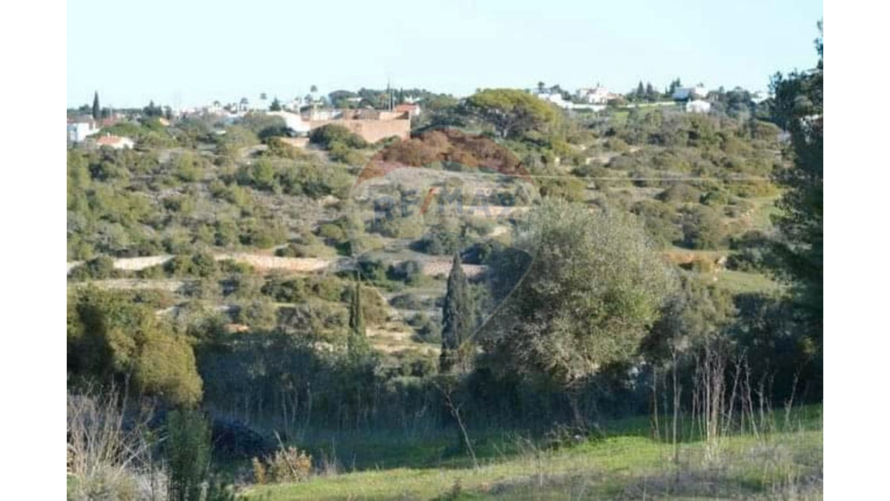 Terreno P/ Prédio para Venda em Lagoa e Carvoeiro Foto 4