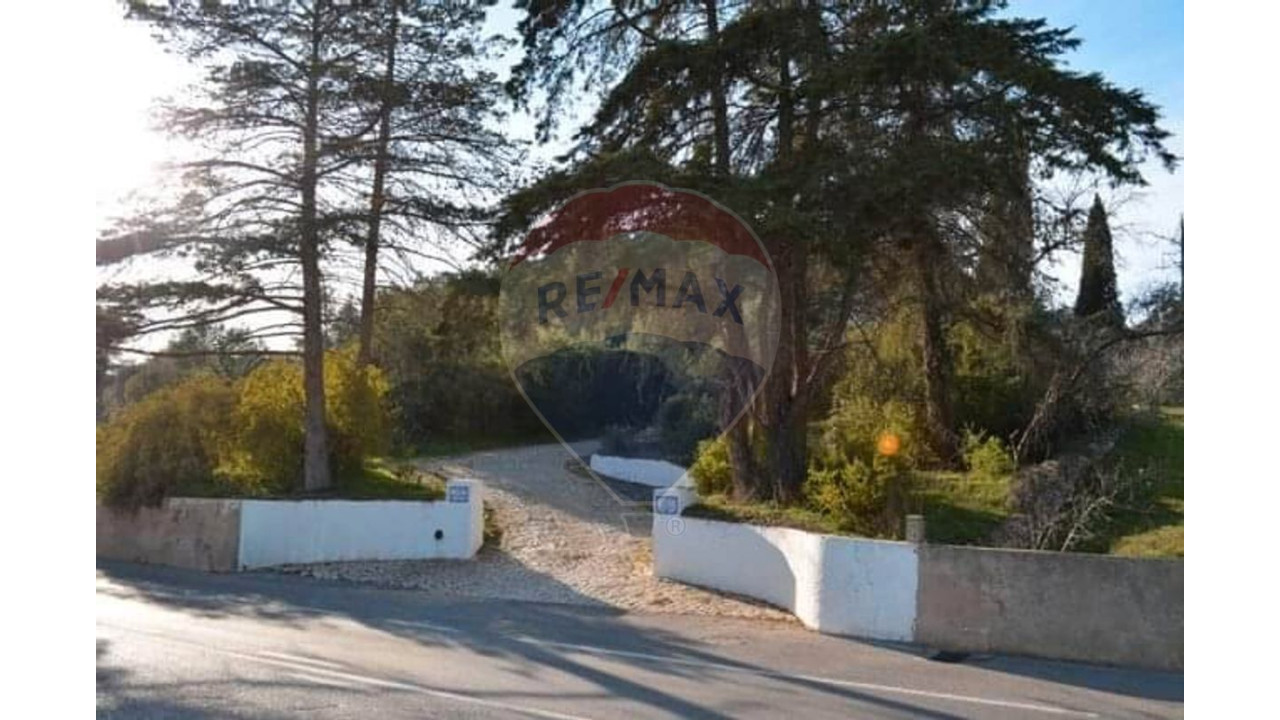 Terreno P/ Prédio para Venda em Lagoa e Carvoeiro Foto 2