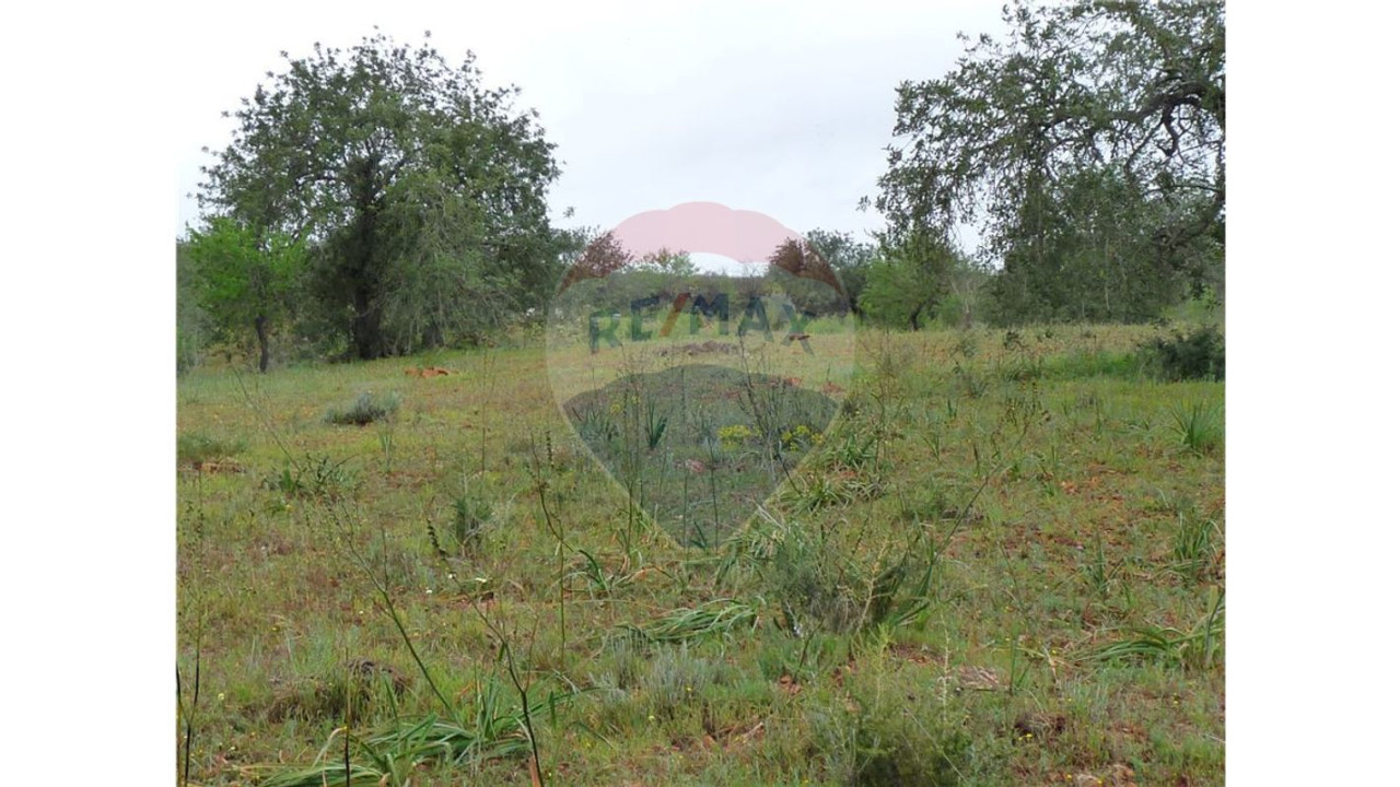 Terreno P/ Prédio para Venda em Albufeira e Olhos de Água
