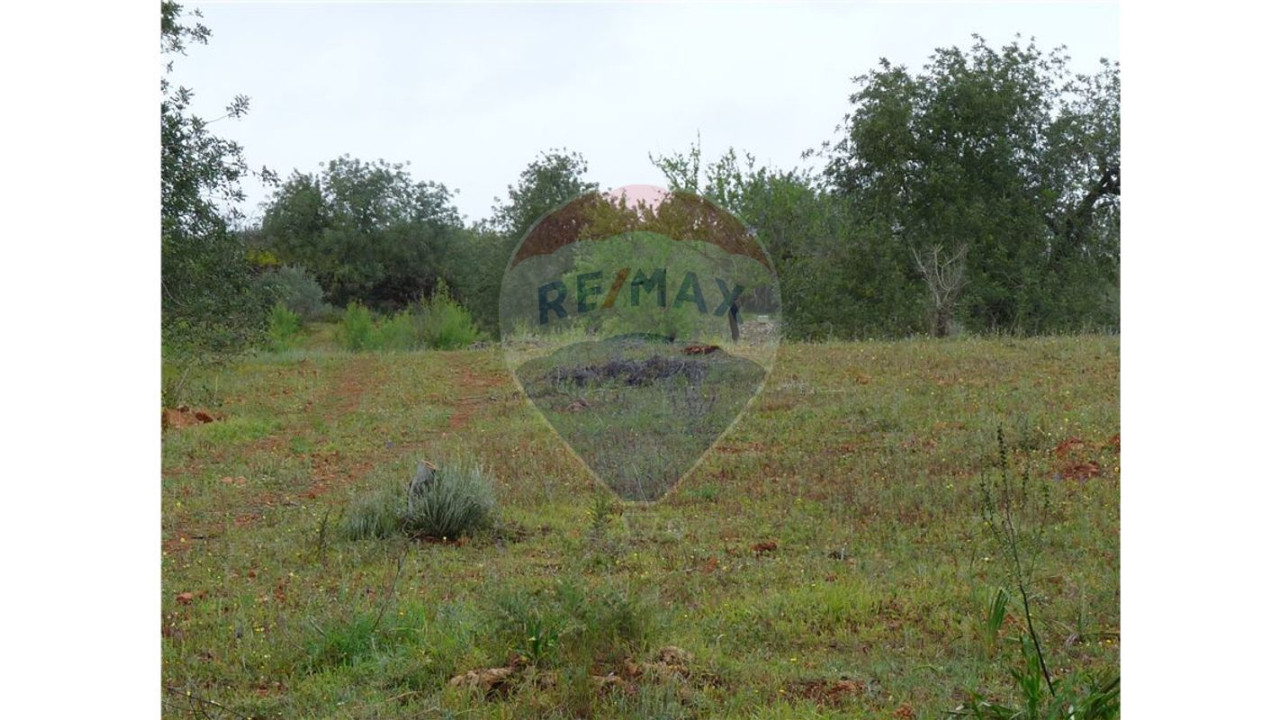 Terreno P/ Prédio para Venda em Albufeira e Olhos de Água Foto 4