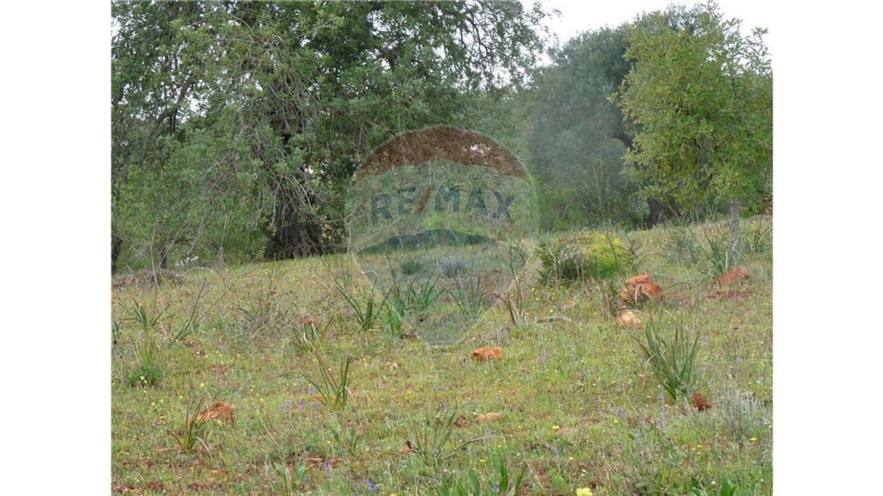 Terreno P/ Prédio para Venda em Albufeira e Olhos de Água Foto 5