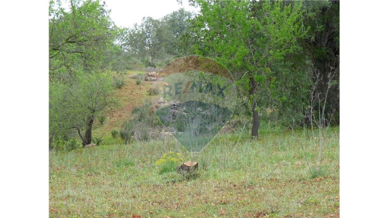 Terreno P/ Prédio para Venda em Albufeira e Olhos de Água Foto 3