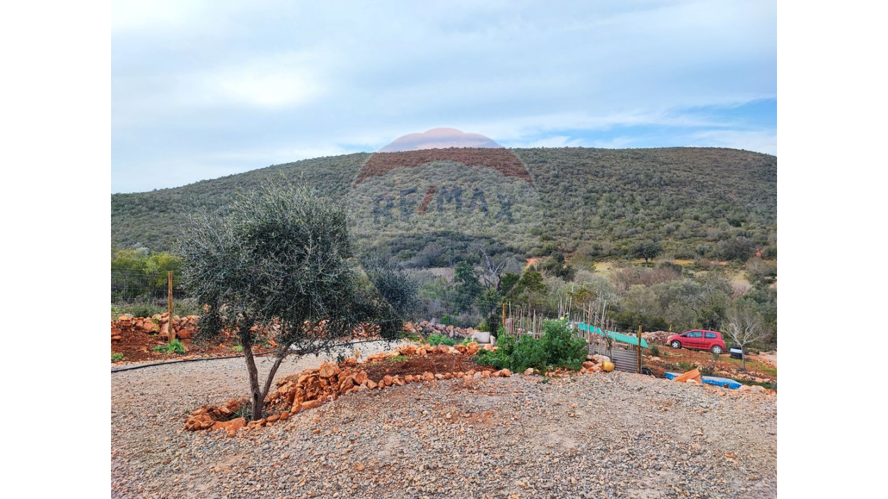 Terreno P/ Prédio para Venda em Boliqueime Foto 12