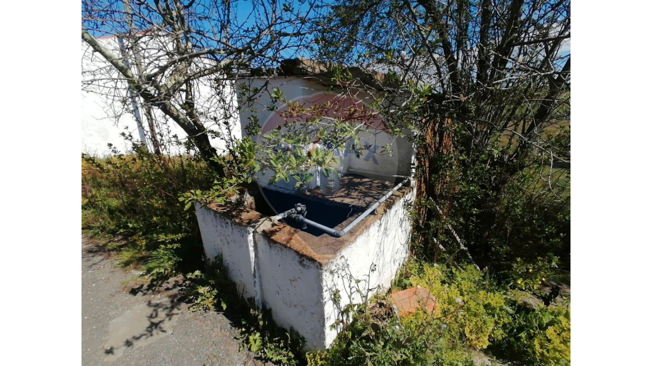 Quinta T1 para Venda em Almodôvar e Graça dos Padrões Foto 13