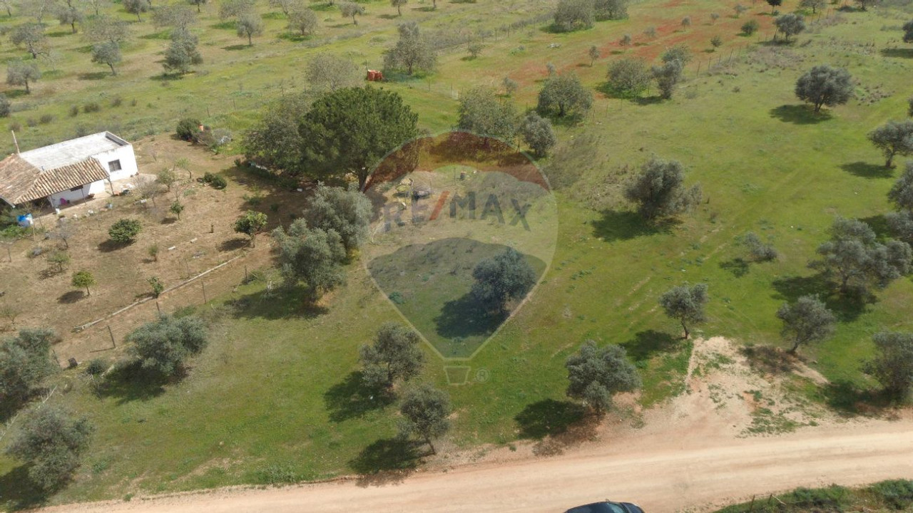 Terreno P/ Prédio para Venda em Paderne Foto 3