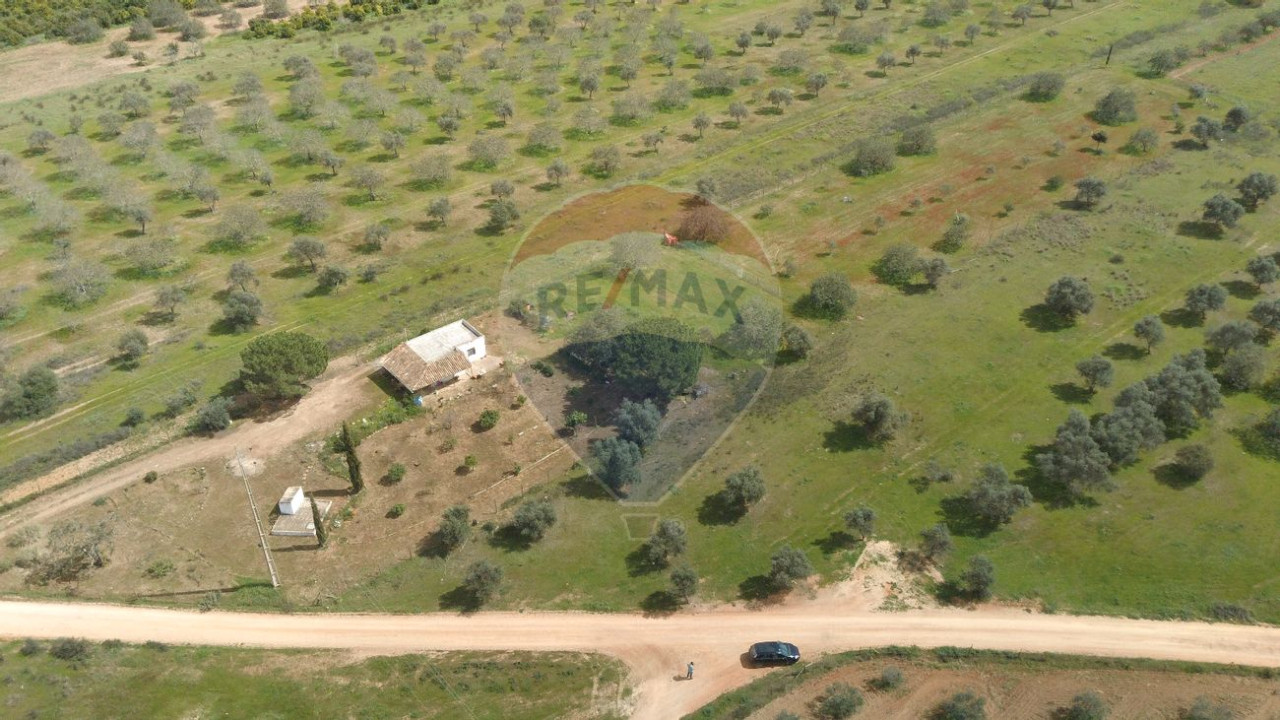 Terreno P/ Prédio para Venda em Paderne Foto 5