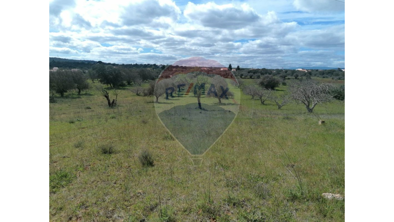 Terreno P/ Prédio para Venda em Paderne Foto 4