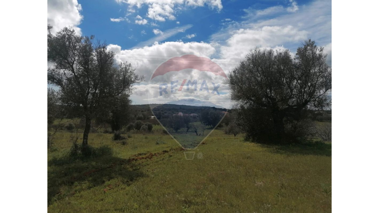 Terreno P/ Prédio para Venda em Paderne