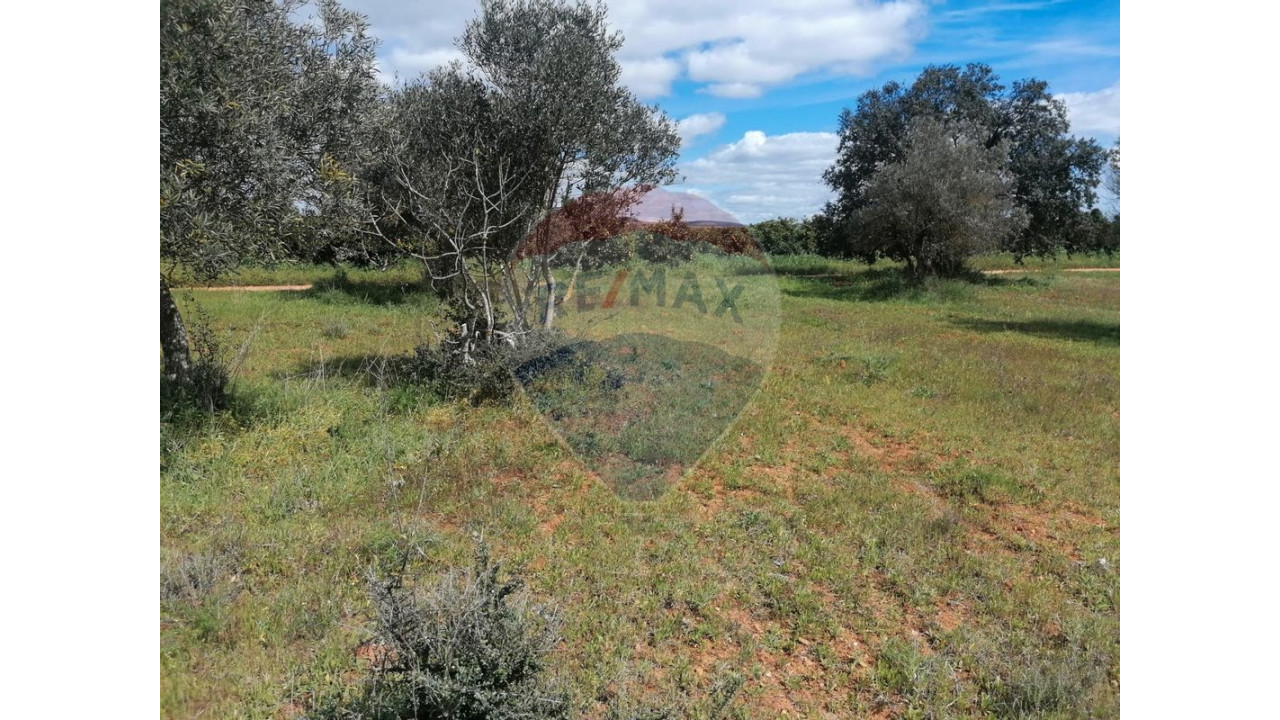 Terreno P/ Prédio para Venda em Paderne Foto 5