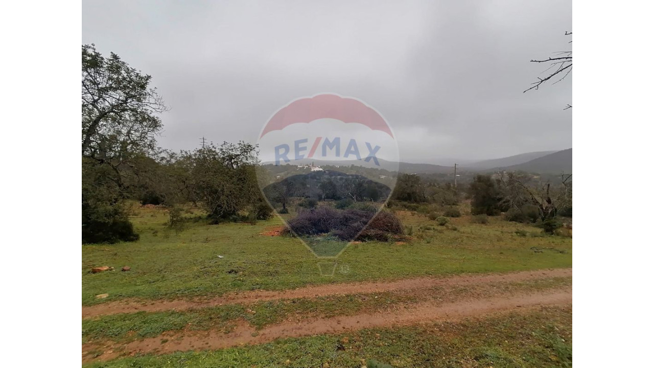 Terreno P/ Prédio para Venda em Paderne