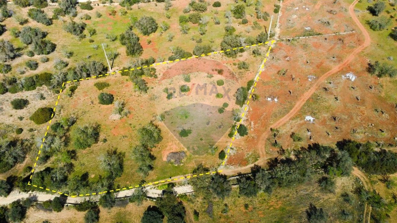 Terreno P/ Prédio para Venda em Paderne Foto 2
