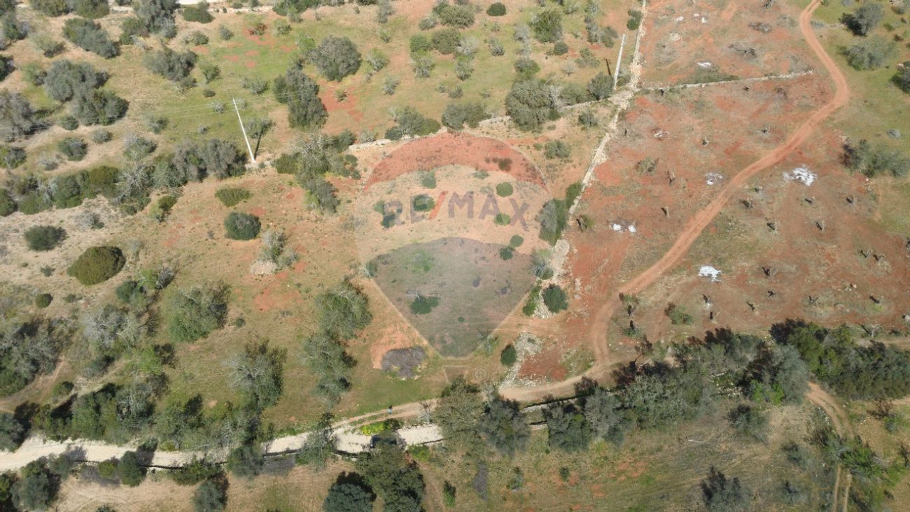 Terreno P/ Prédio para Venda em Paderne Foto 4