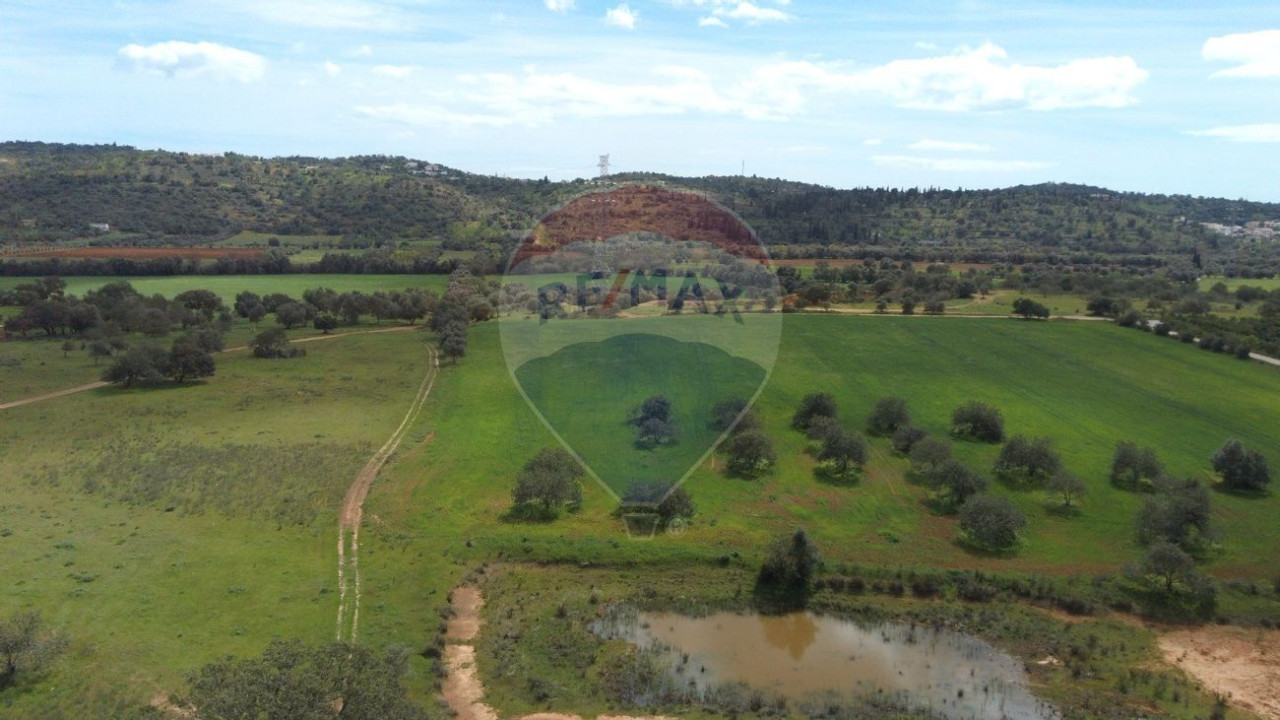 Terreno P/ Prédio para Venda em Paderne