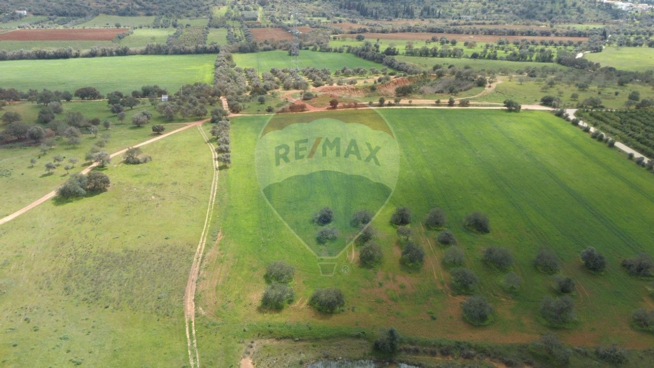 Terreno P/ Prédio para Venda em Paderne Foto 3