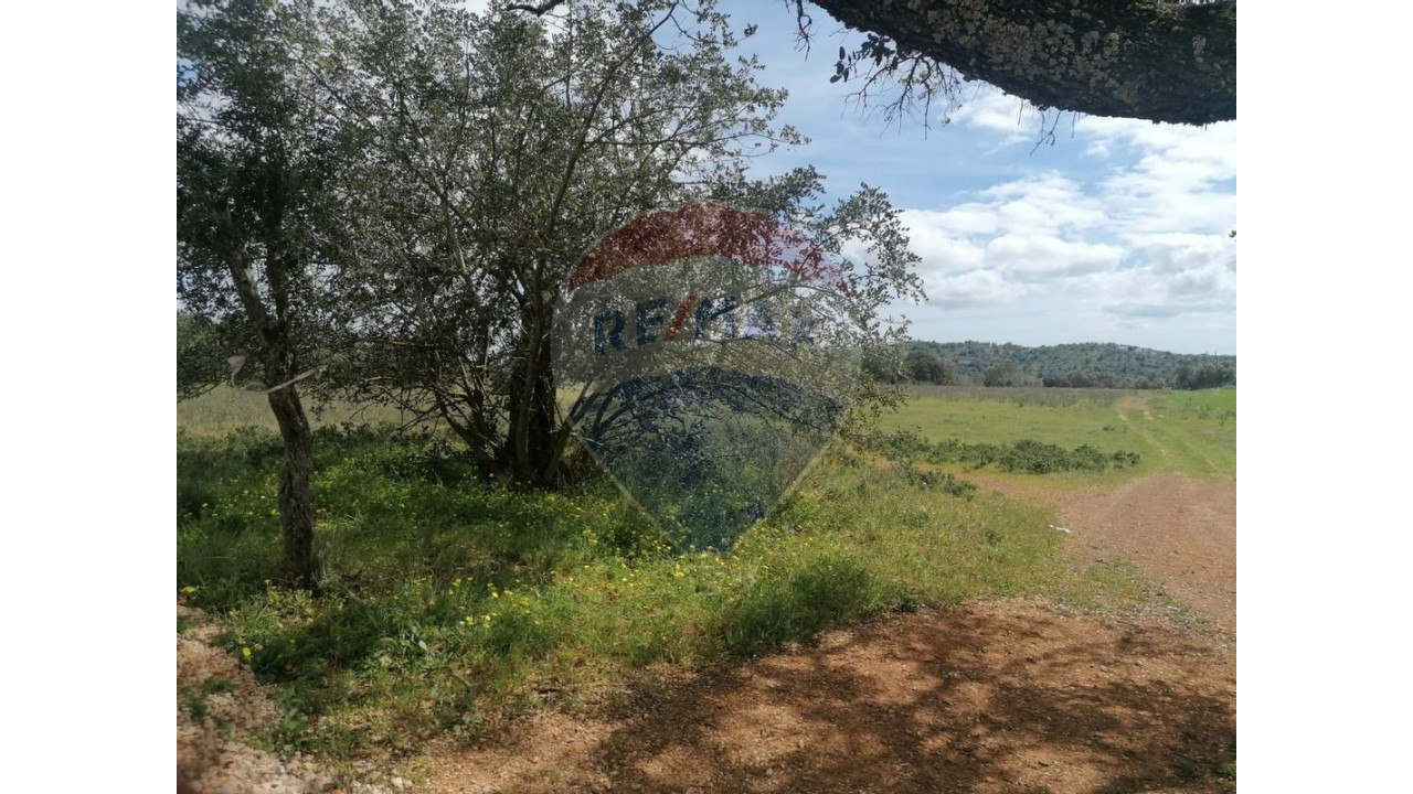 Terreno P/ Prédio para Venda em Paderne Foto 5