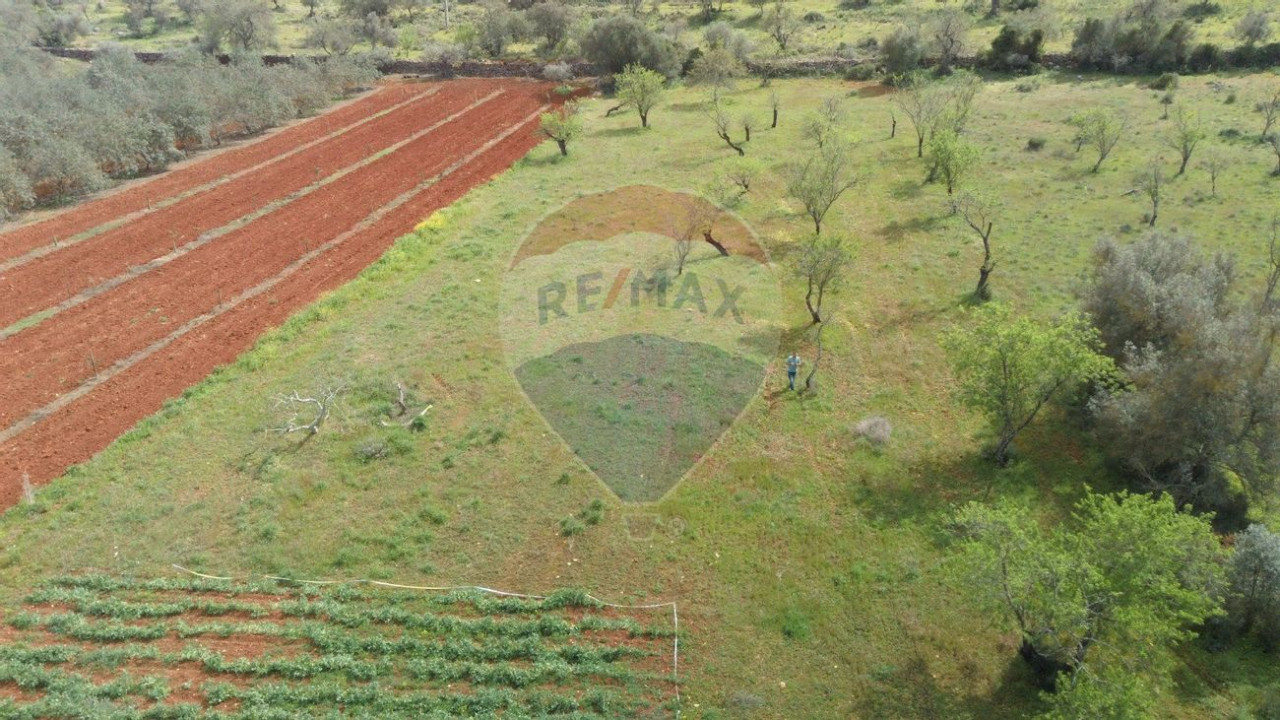 Terreno P/ Prédio para Venda em Paderne Foto 3