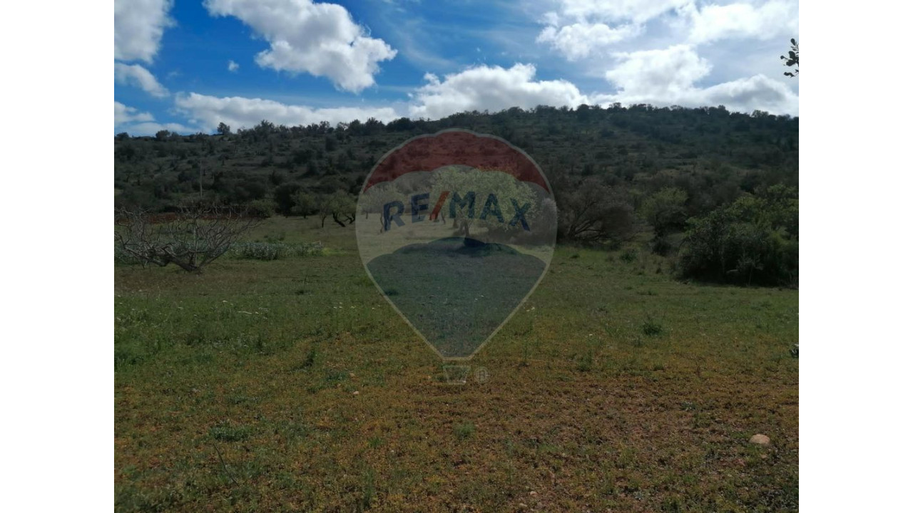 Terreno P/ Prédio para Venda em Paderne Foto 5